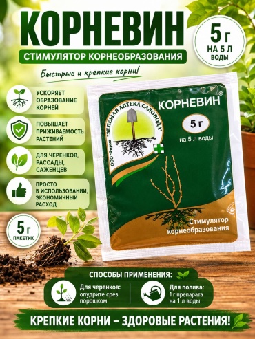 Корневин