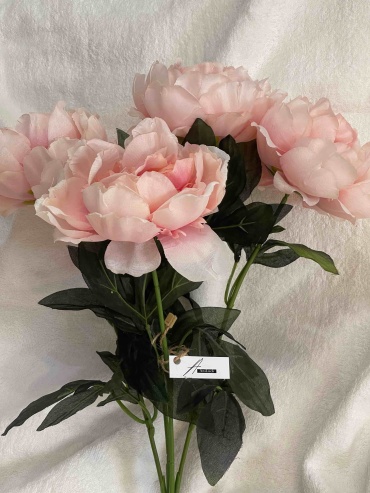 Фото 2