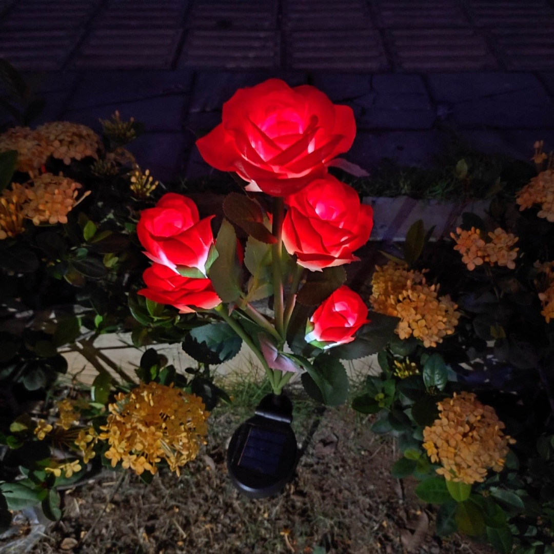 Фото 4