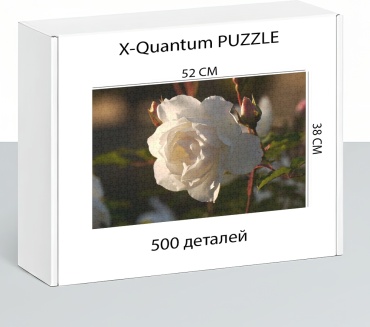 X-Quantum puzzle_huobdy9kxs классический 500 деталей