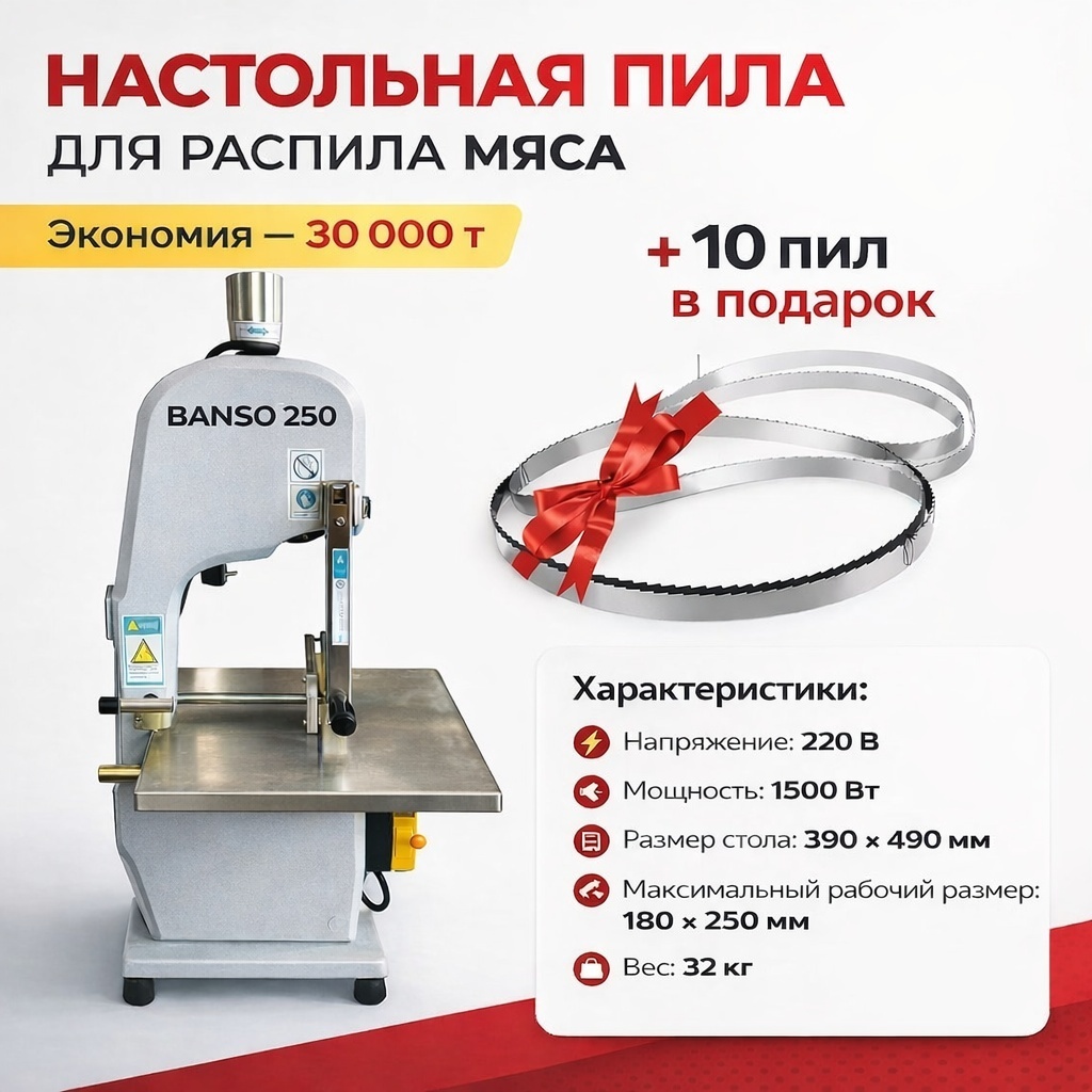 Ленточная пила QG 250 + 16х0.6 10 шт