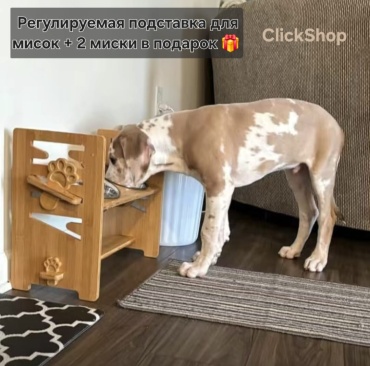 Миска на подставке ClickShop 60596723 700 мл коричневый, серебристый