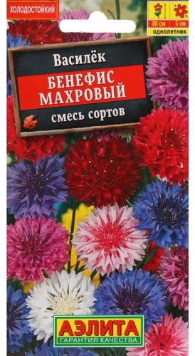 Аэлита василек Бенефис махровый
