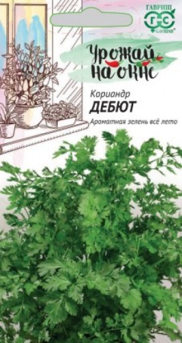 Гавриш кориандр Дебют