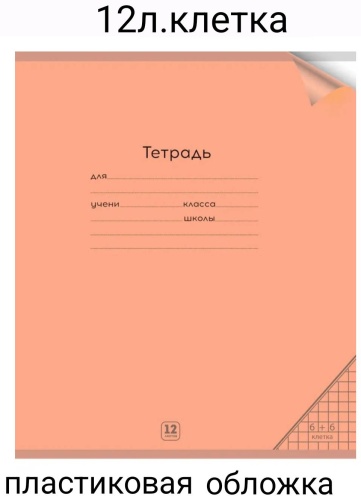 Набор школьных тетрадей Проф-Пресс НЕОН ORANGE 12-1342, 12 л, А5, клетка, мягкая обложка, 10 шт