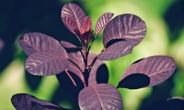 Фото 6
