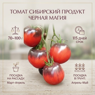 Сибирский Продукт томат Черная магия