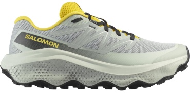 Кроссовки Salomon Ultra Flow 2 серый