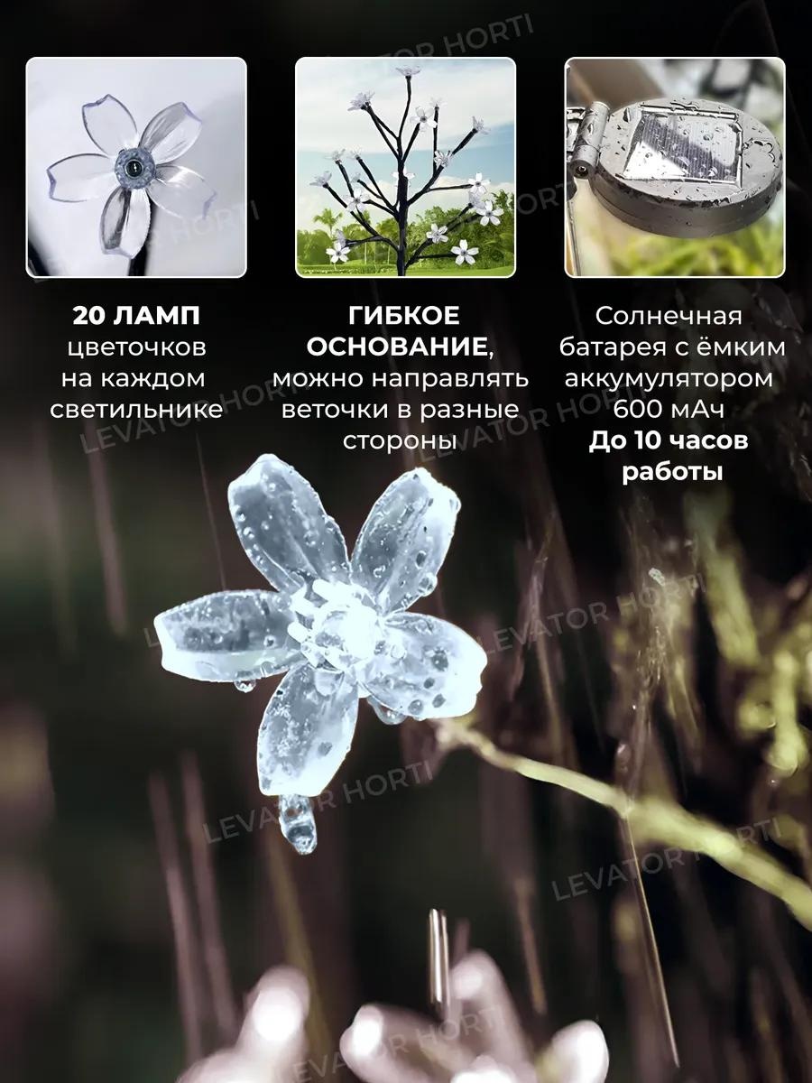 Фото 3