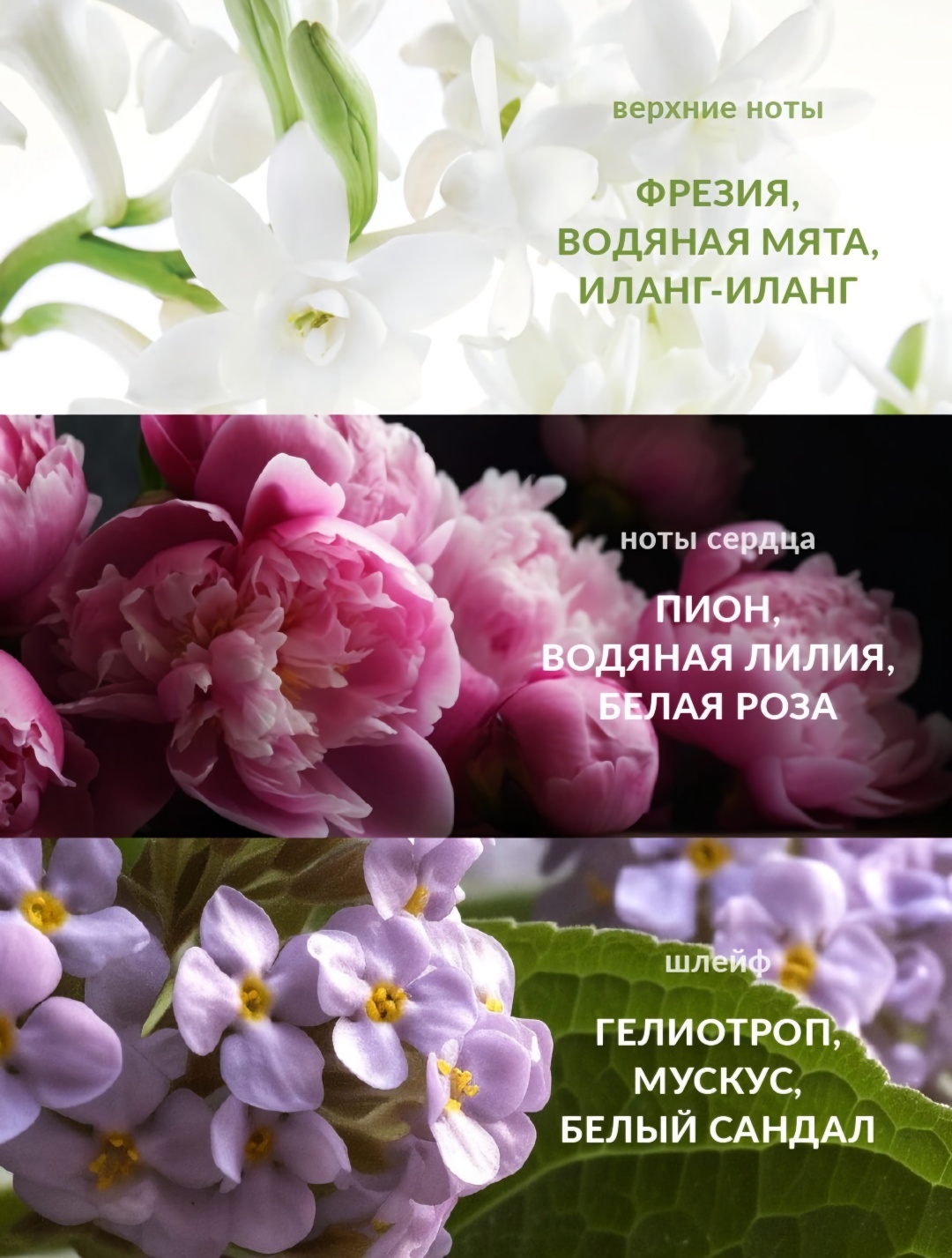 Фото 6