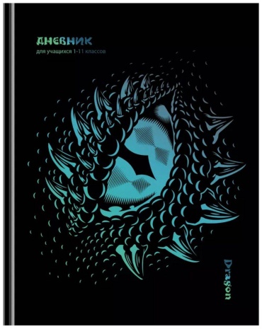 Дневник школьный Школьный 30384032_947692012, 40 л