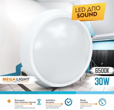 Светильник настенный MEGALIGHT LED белый