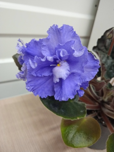 Фото 2