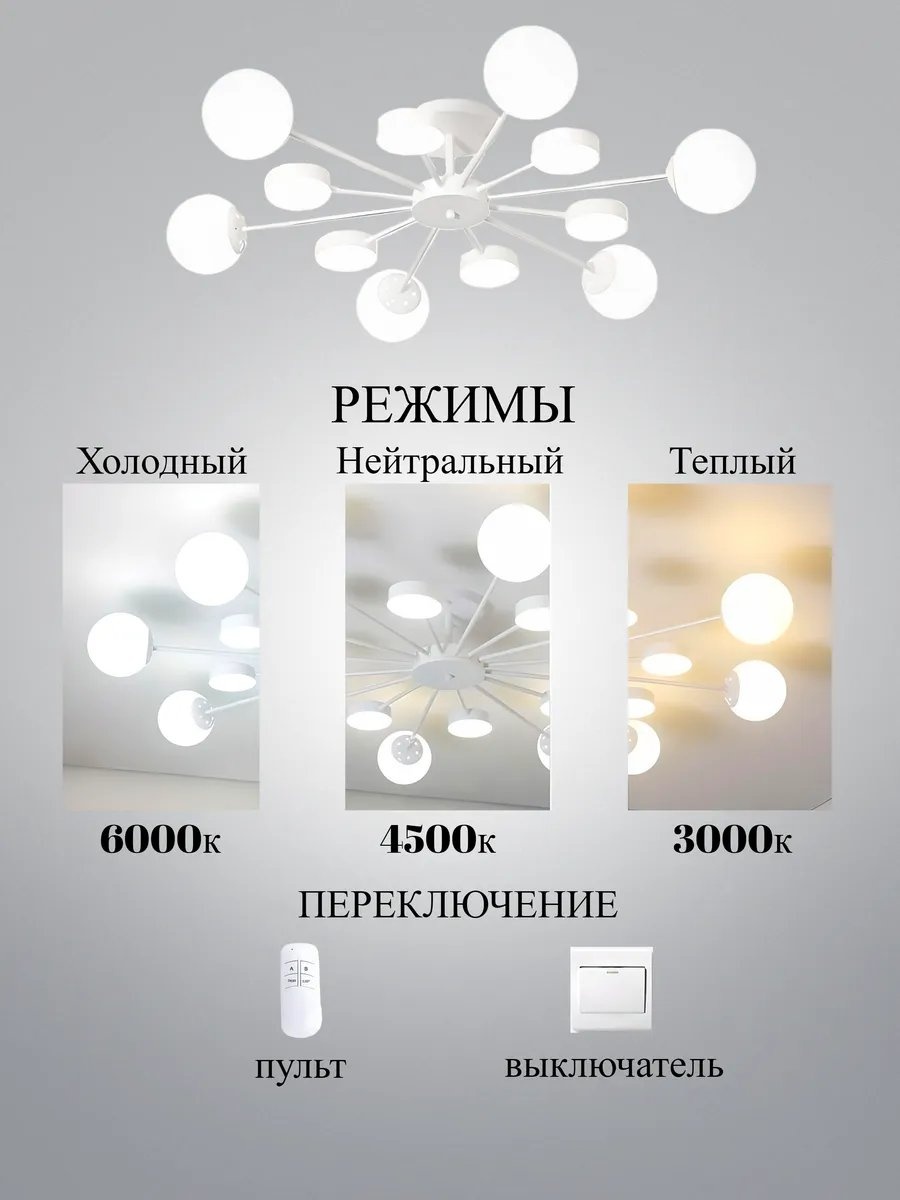 Фото 3
