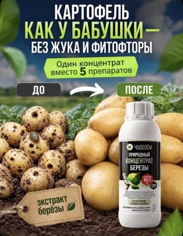 Удобрение природный концентрат березы