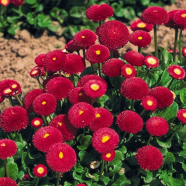 Фото 2