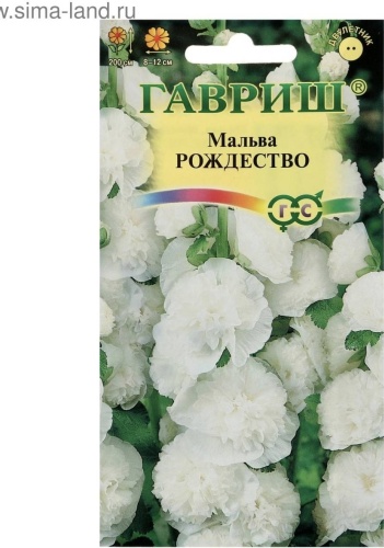 Гавриш мальва Рождество