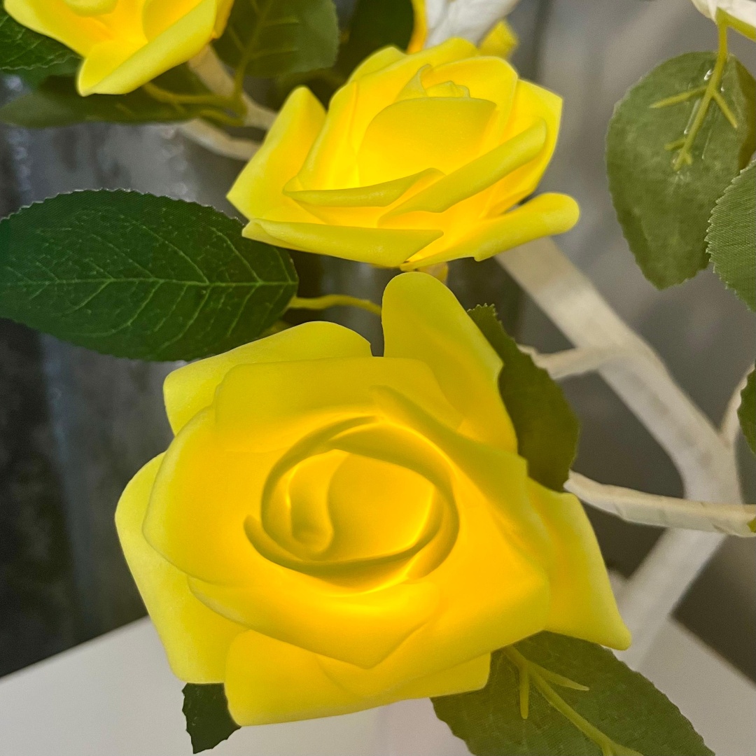 Фото 3
