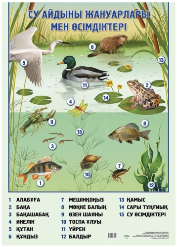 Плакат Су айдыны жануарлары, A2, глянцевая бумага