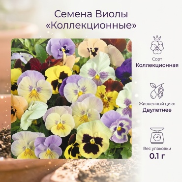 Виола Коллекционные семена Виола Анютины глазки