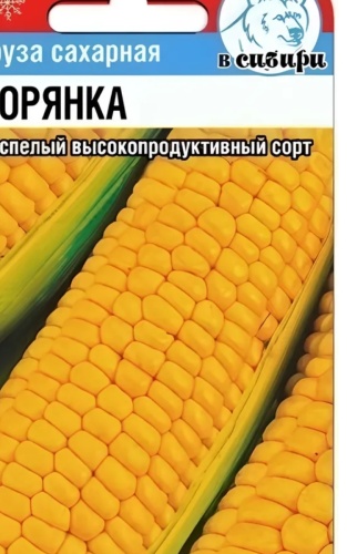 Сибирский сад кукуруза Хуторянка