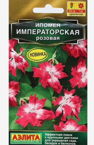 Аэлита ипомея Императорская розовая