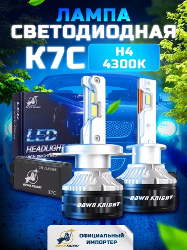 247289215 светодиодная H4, 2 шт