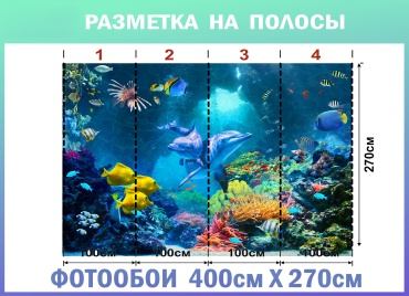 Фото 3