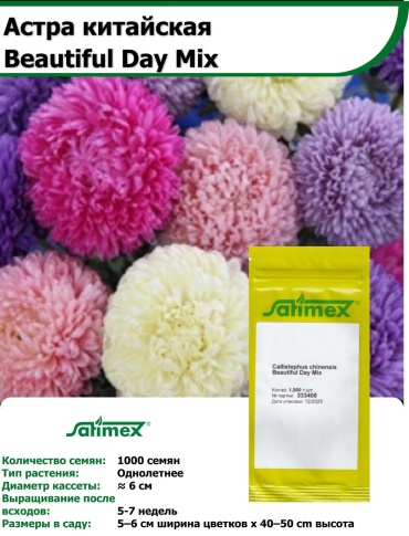 Астра Beautiful Day Mix Satimex 1000 семян