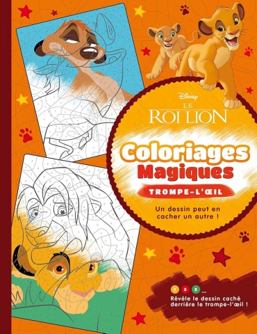 Hachette Heroes Coloriages Magiques