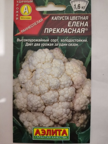 Аэлита капуста цветная Елена Прекрасная