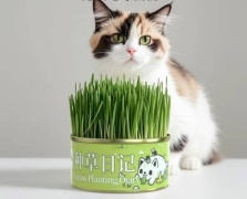 Трава 75 г 1 шт