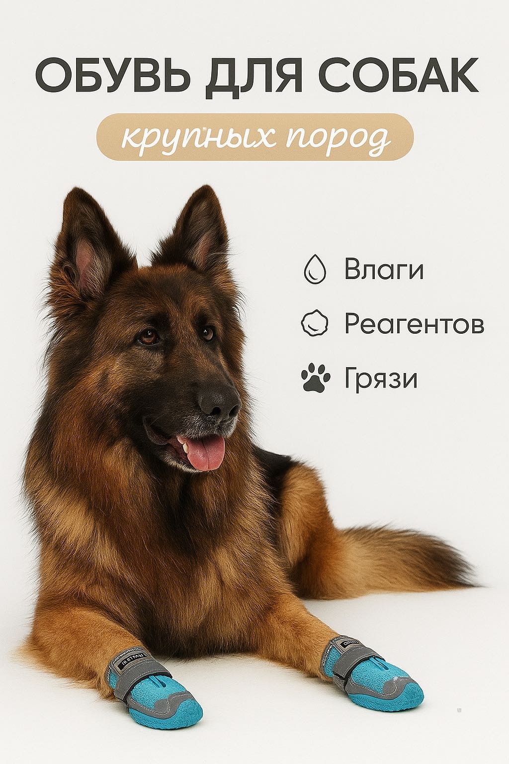 MyFriends ботинки ANG3490 синий L