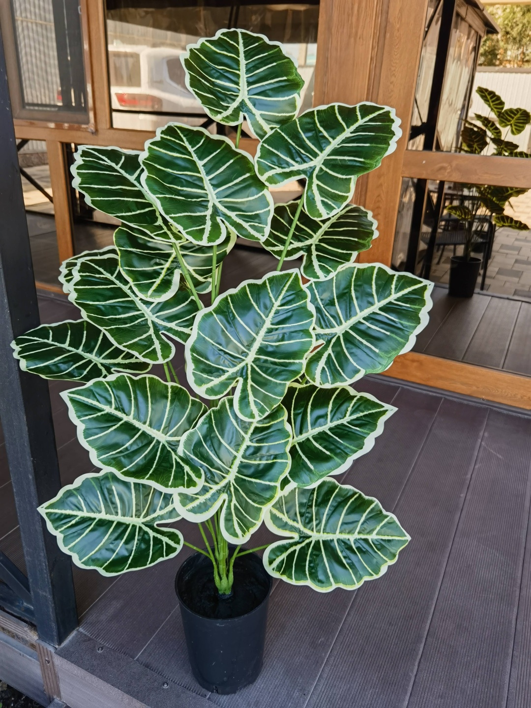 Фото 9