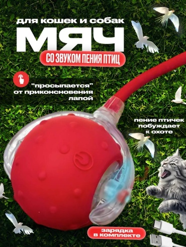Игрушка для самостоятельных игр силикон