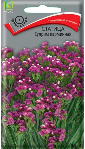 Поиск статица Суприм