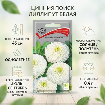 Поиск цинния Лиллипут Белая