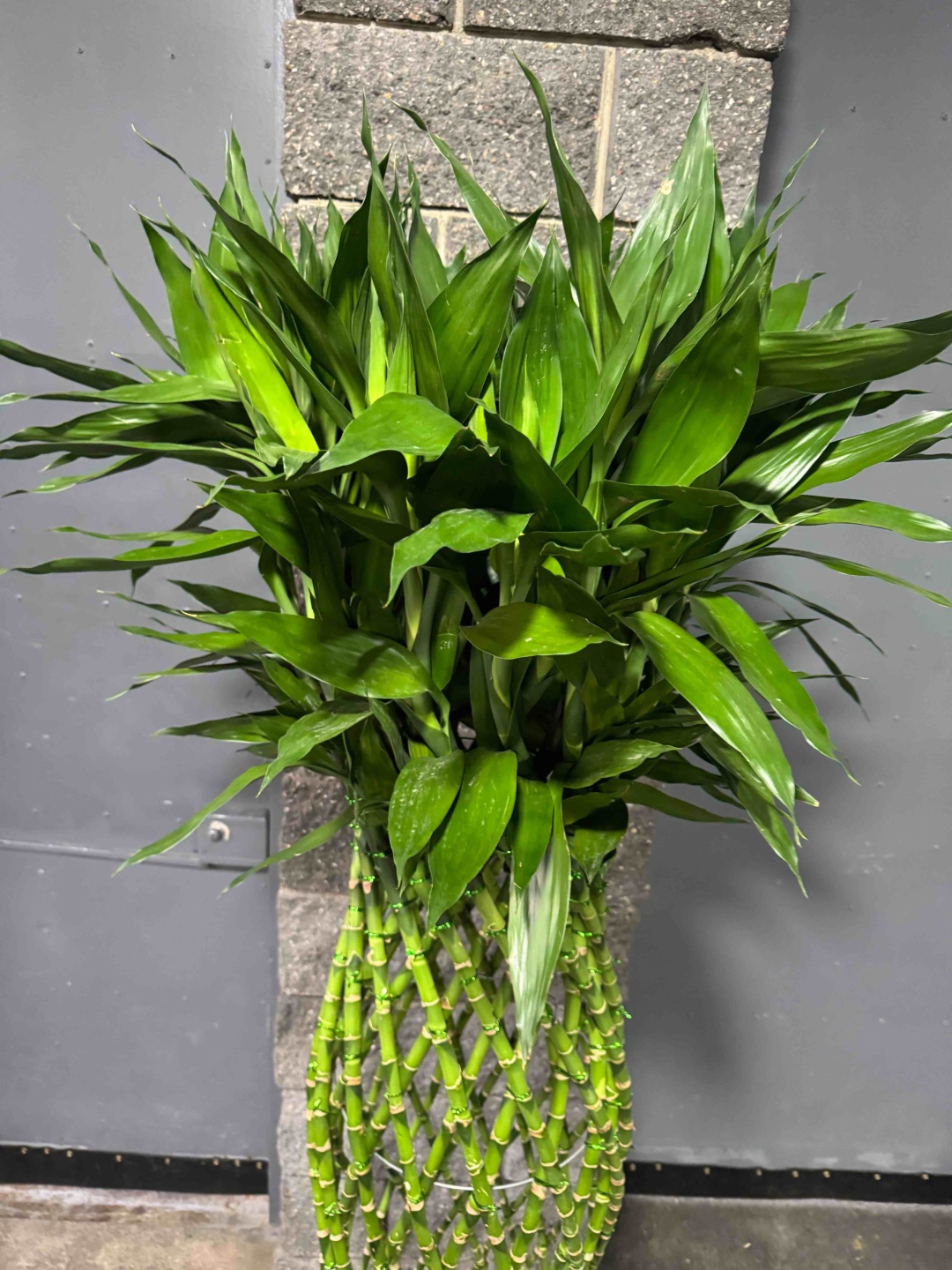 Фото 2