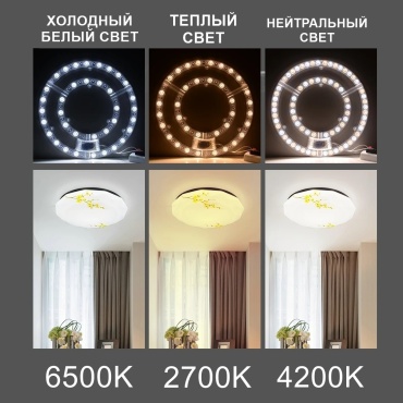 Фото 3