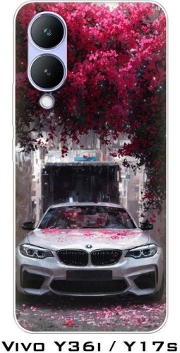 Чехол для Vivo Y17, Y17s рисунок