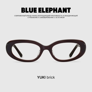 BLUE ELEPHANT очки овальные однотонные
