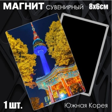 Магнит-сувенир Сувенирный магнит "Южная Корея" (8053мм) 1 шт