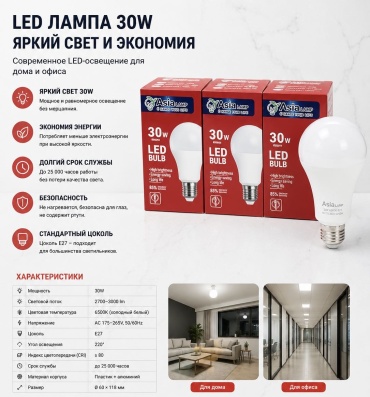 Asia LAMP 30W E27, светодиодная, холодный белый