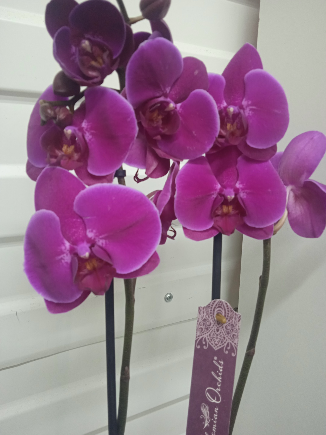 Фото 2