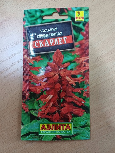 Аэлита сальвия Сверкающая Скарлет
