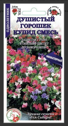 Золотая сотка Алтая душистый горошек КАРЛИКОВЫЙ КУПИД СМЕСЬ