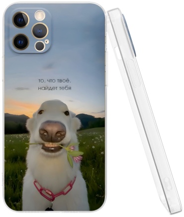 Чехол Mcover для Apple iPhone 12 Pro рисунок