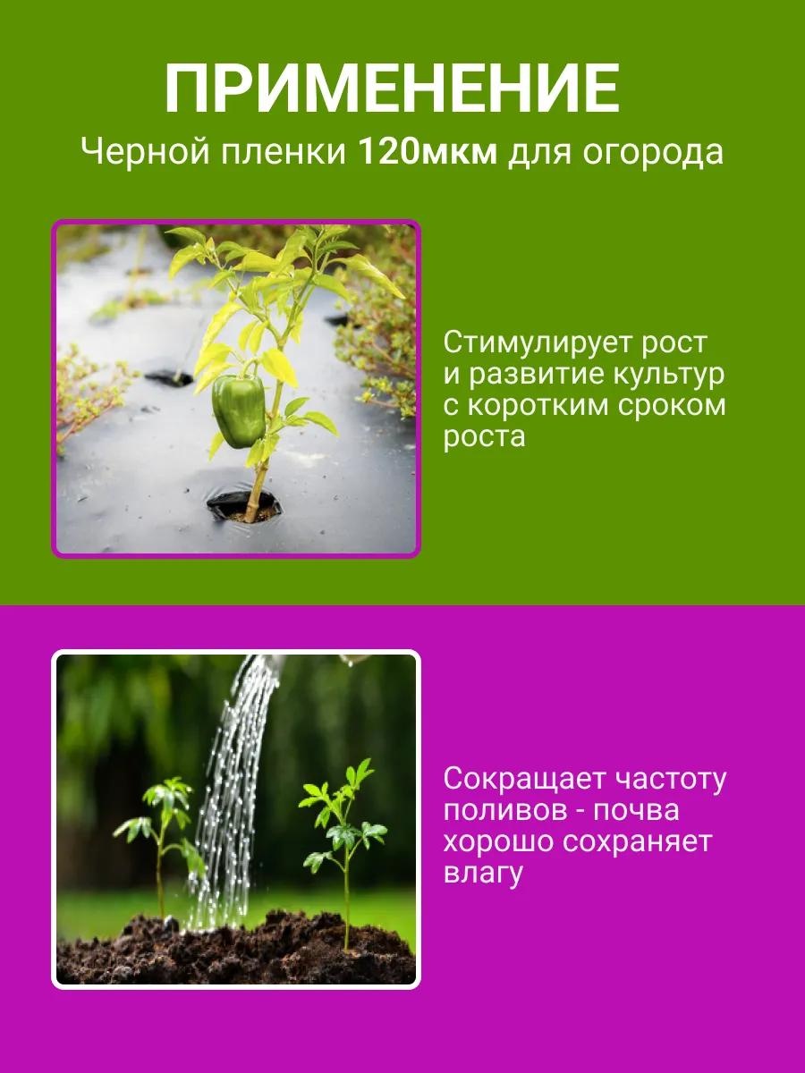 Фото 3