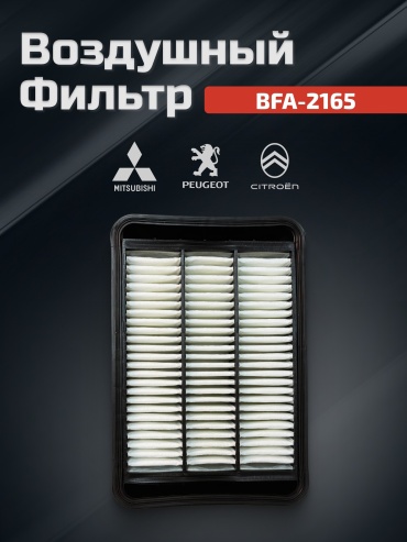 Briss воздушный фильтр BFA-2165