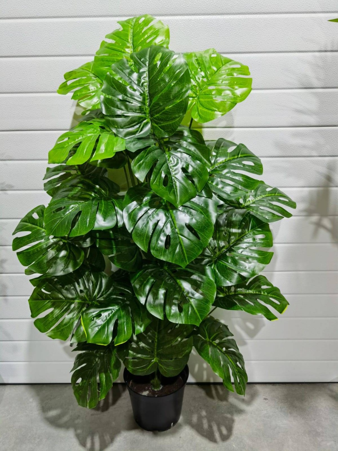 Фото 3